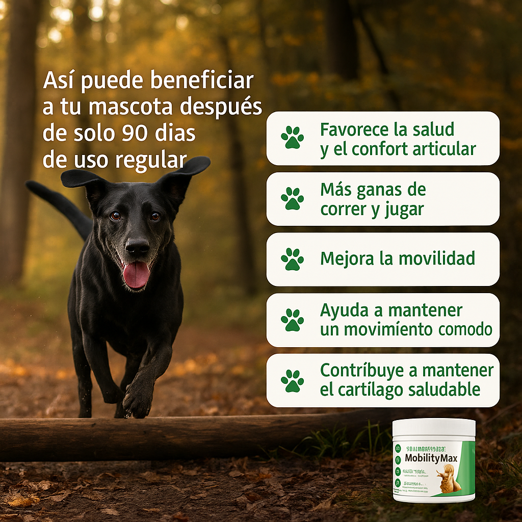 MobilityMax™: el suplemento que devuelve las ganas de jugar de tu perro.