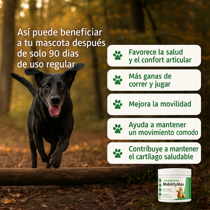 MobilityMax™: el suplemento que devuelve las ganas de jugar de tu perro.
