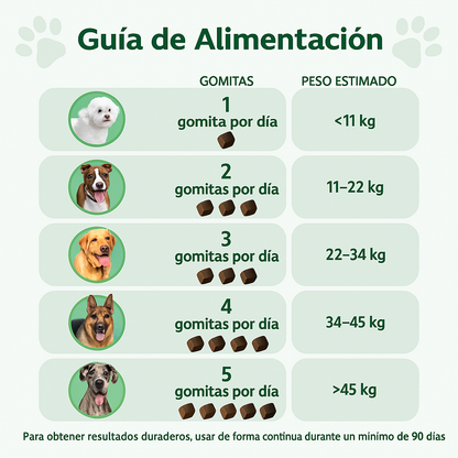 MobilityMax™: el suplemento que devuelve las ganas de jugar de tu perro.