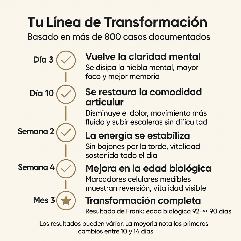 Magnali RE-VIVE | Energía, Enfoque y Juventud Celular