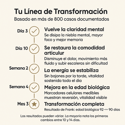 Magnali RE-VIVE | Energía, Enfoque y Juventud Celular