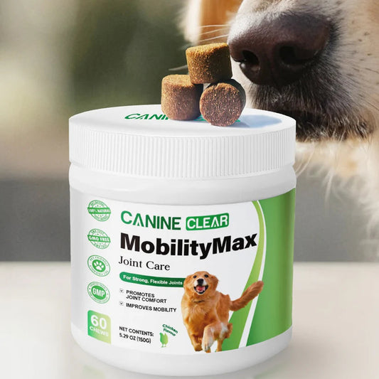 MobilityMax™: el suplemento que devuelve las ganas de jugar de tu perro.
